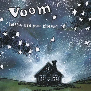 Hello, are you there?